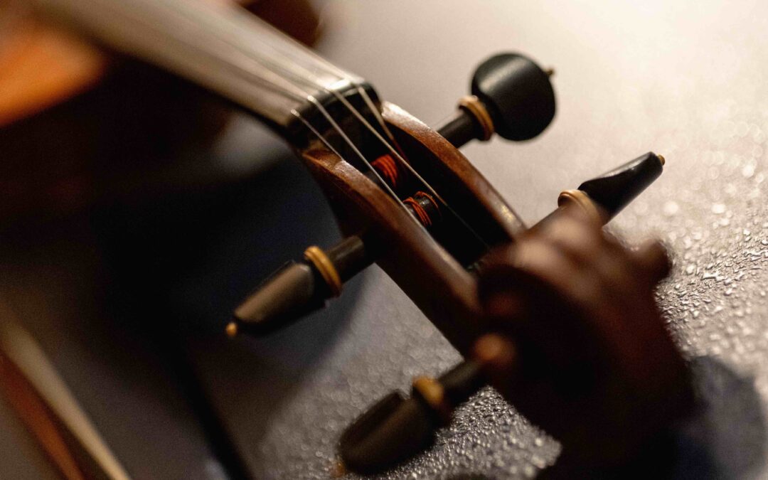 Announcing the new Pasadena Community Orchestra season